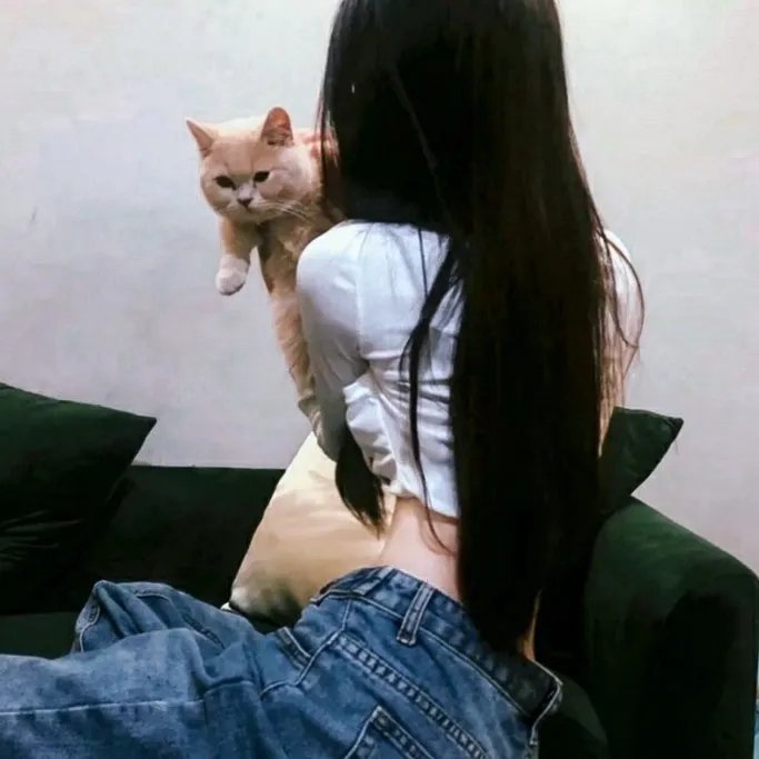 诉讼